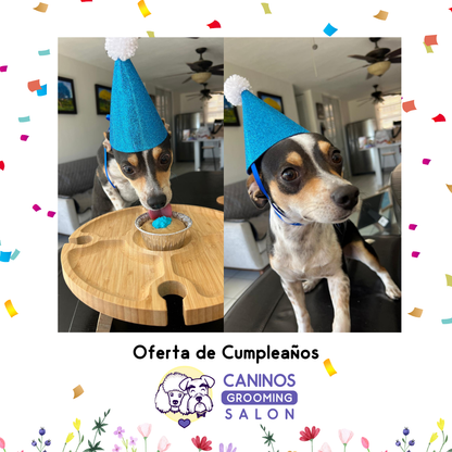 Oferta Cumpleaños